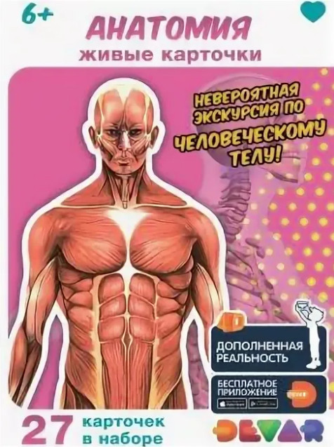 Анатомия: Тело человека. | 4D энциклопедии