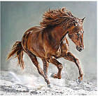 Картина по номерам «Рысак»