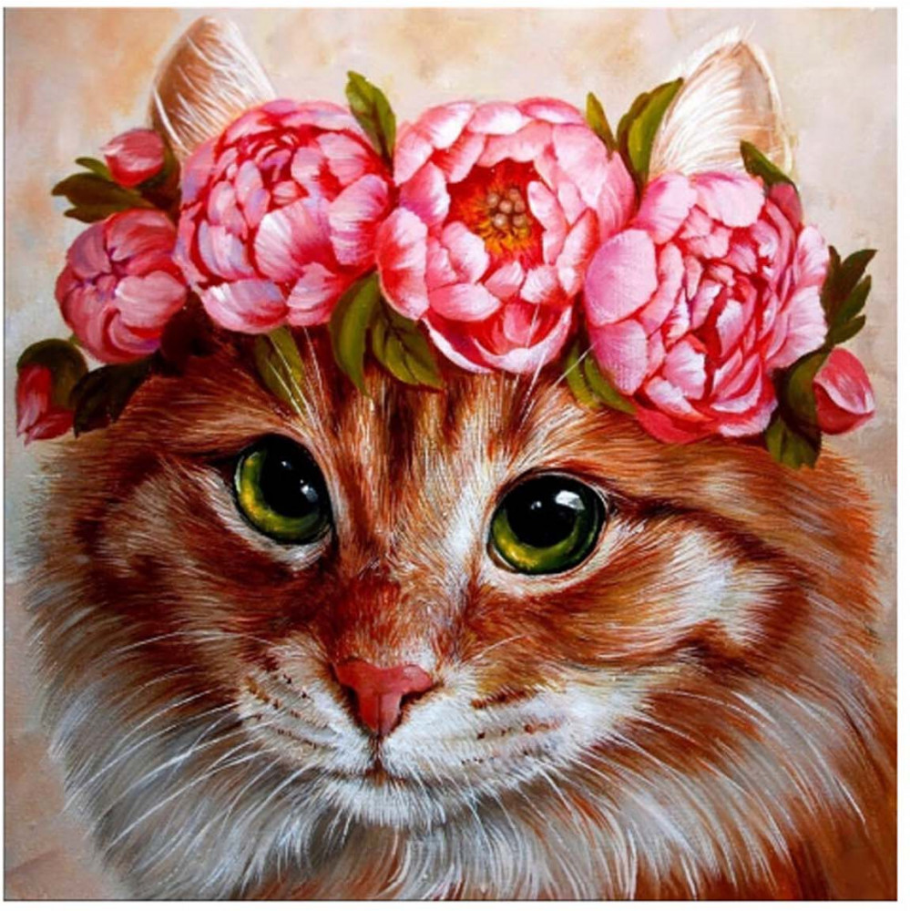 Картина по номерам «Пушистая красотка» | Molly