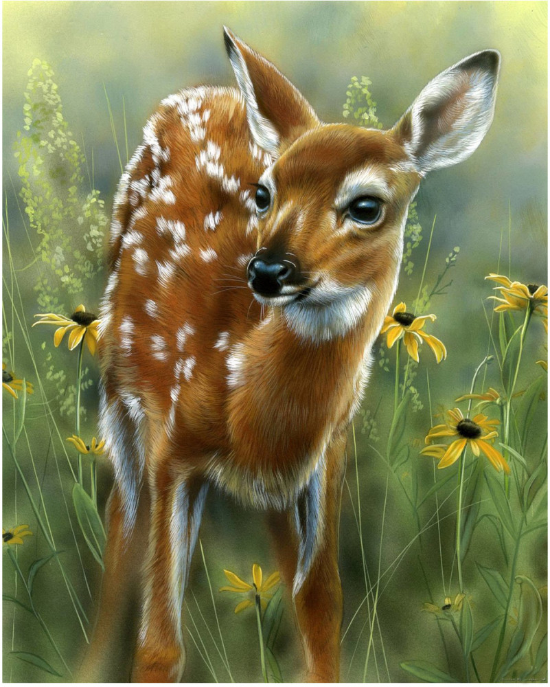 Картина по номерам «Олененок» | Molly
