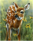 Картина по номерам «Олененок»