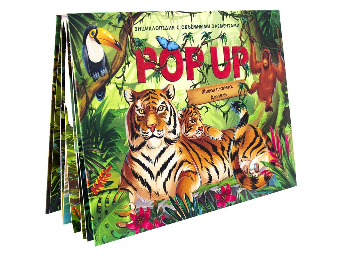 Pop up энциклопедия. Живая планета. Джунгли (книжка-панорамка) | Pop up энциклопедия