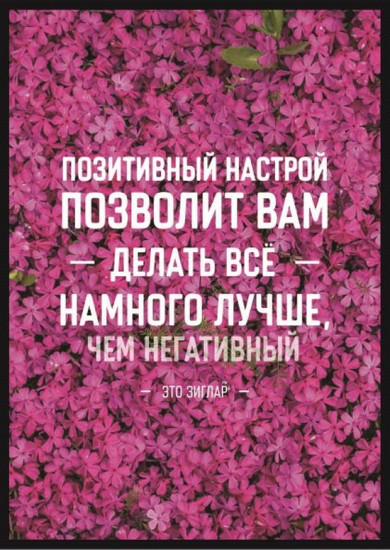 Постер-мотиватор «Позитивный настрой позволит Вам»
