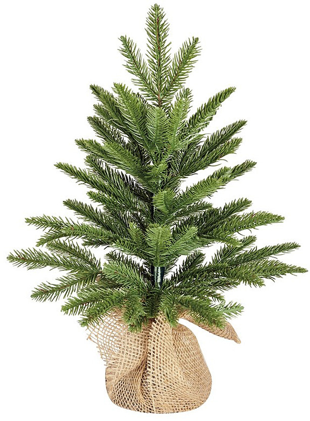 Ель в мешочке | Чемберлен | Black Box