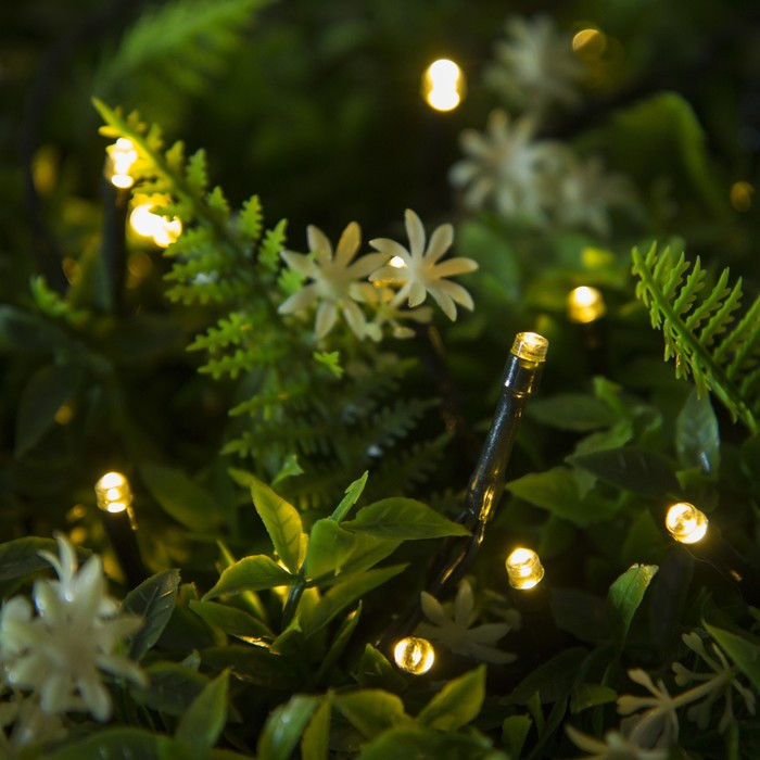 Гирлянда уличная «Нить» | Luazon Lighting