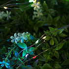 мультиколор