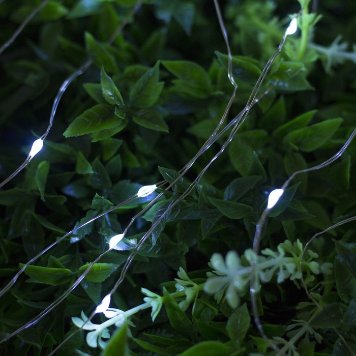 Гирлянда уличная «Роса» | Luazon Lighting