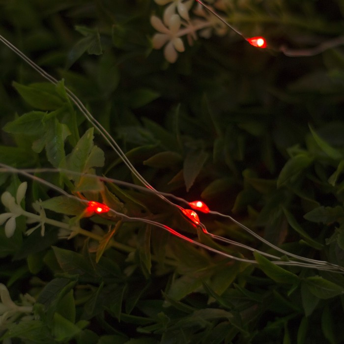 Гирлянда уличная «Роса» | Luazon Lighting