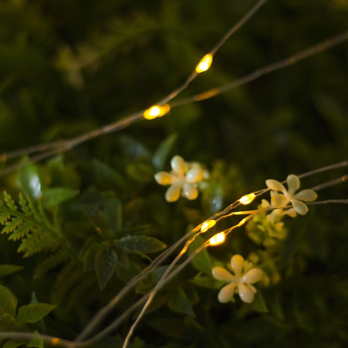 Гирлянда уличная «Роса» | Luazon Lighting