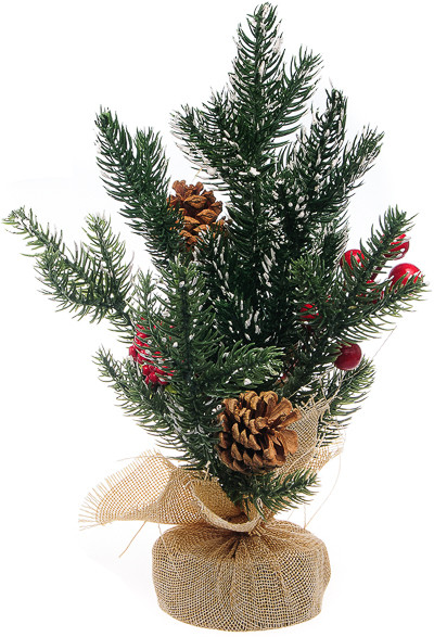 Ель декоративная | Miland
