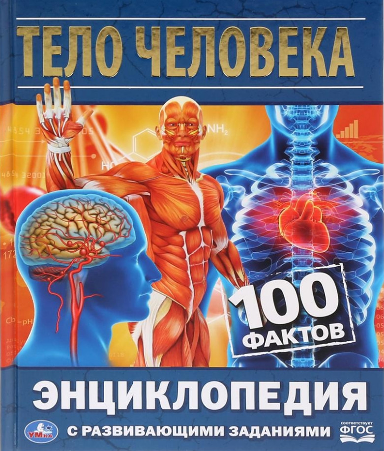Энциклопедия с развивающими заданиями «Тело человека. 100 фактов» | Энциклопедия с развивающими заданиями | УМка