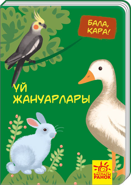 Үй жануарлары | Бала, қара