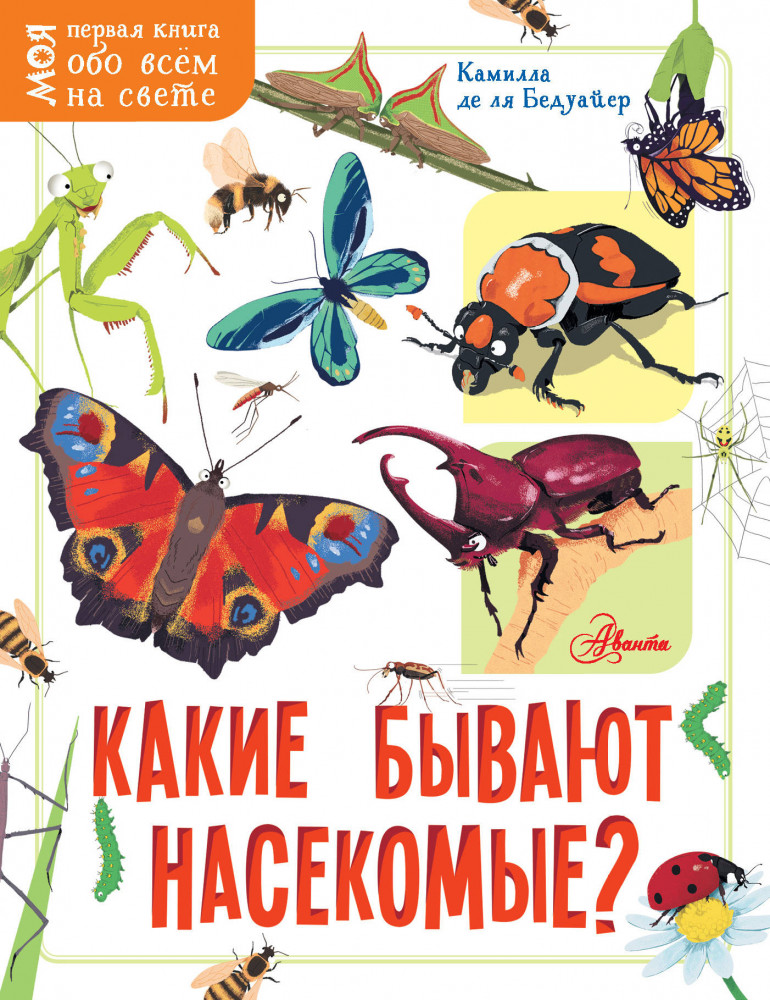 Какие бывают насекомые? | Моя первая книга обо всём на свете