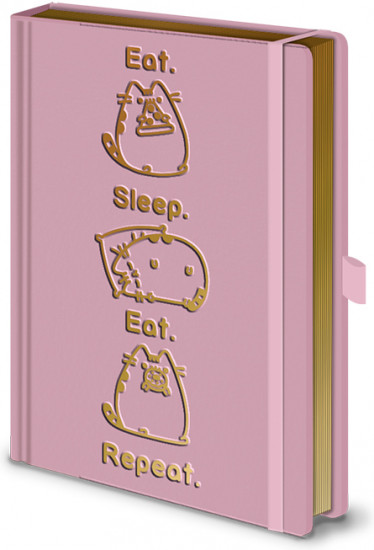 Книга для записей «Pusheen»