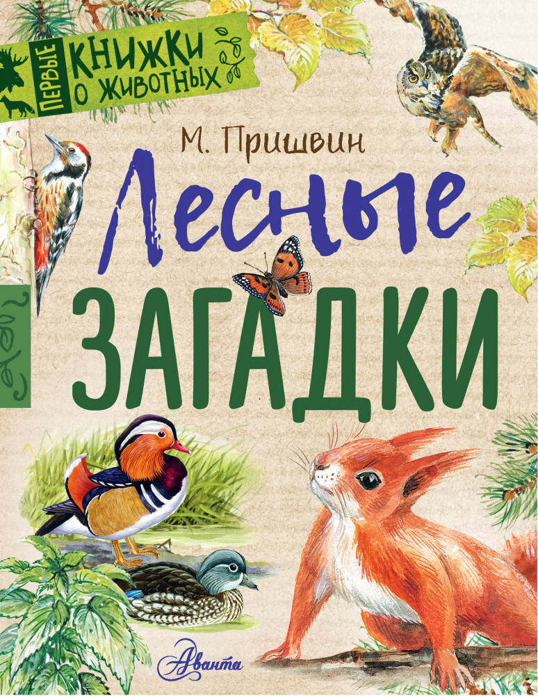Лесные загадки | Первые книжки о животных
