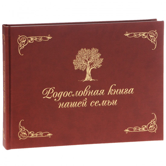 Родословная книга нашей семьи