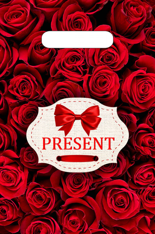 Пакет «Презент бордо» | Весенняя палитра | ТикоПластик