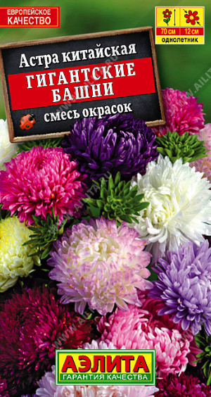 Астра «Гигантские башни» | Аэлита