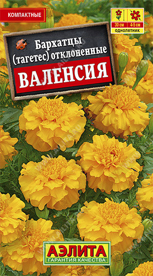 Бархатцы «Валенсия отклоненные» | Аэлита