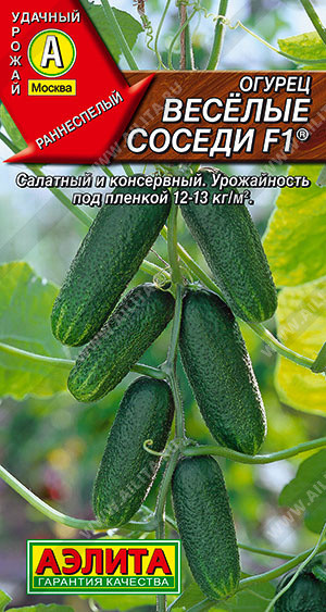 Огурец «Веселые соседи F1» | Удачный урожай | Аэлита