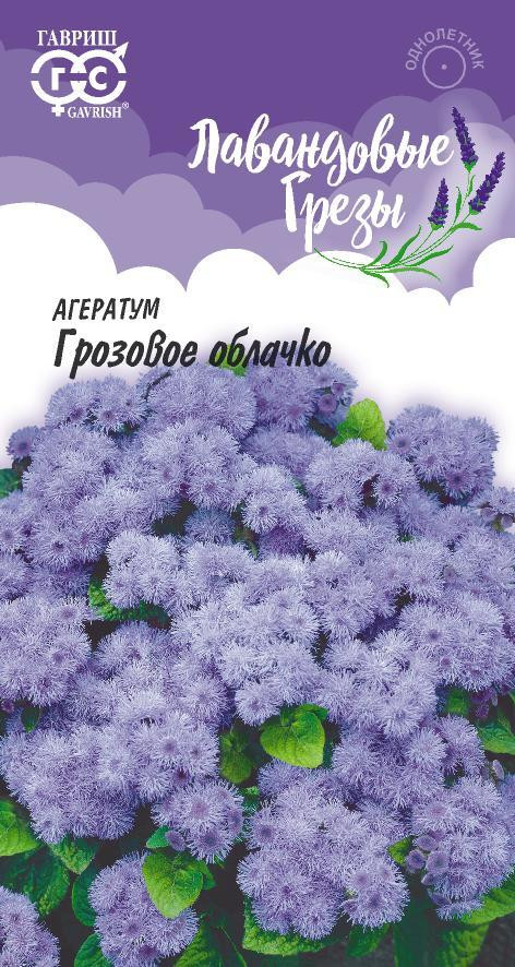 Агератум «Грозовое облачко» | Лавандовые грёзы | Гавриш