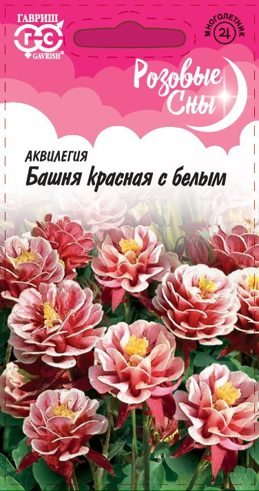 Аквилегия «Башня красная с белым обыкновенная» | Розовые сны | Гавриш