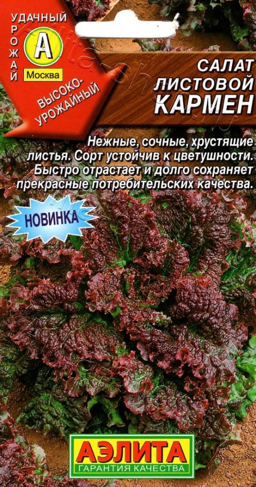Салат листовой «Кармен» | Аэлита