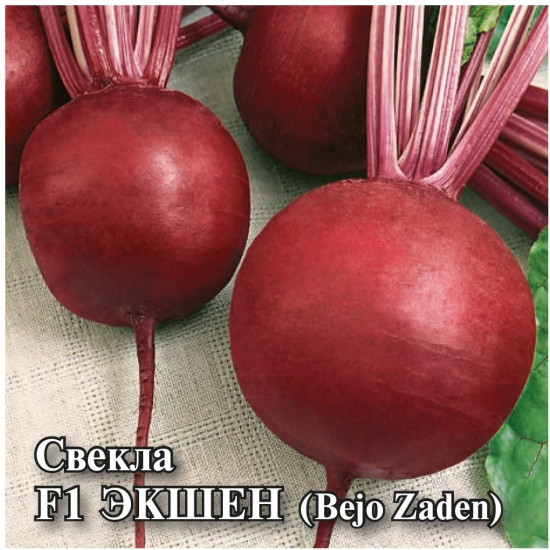 Свекла «Экшен»