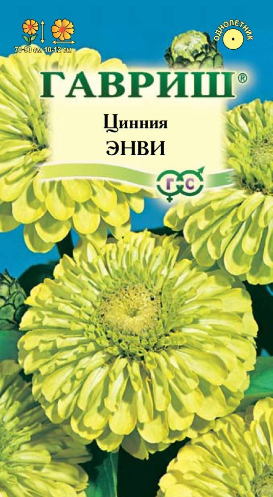 Цинния «Энви изящная» | Гавриш