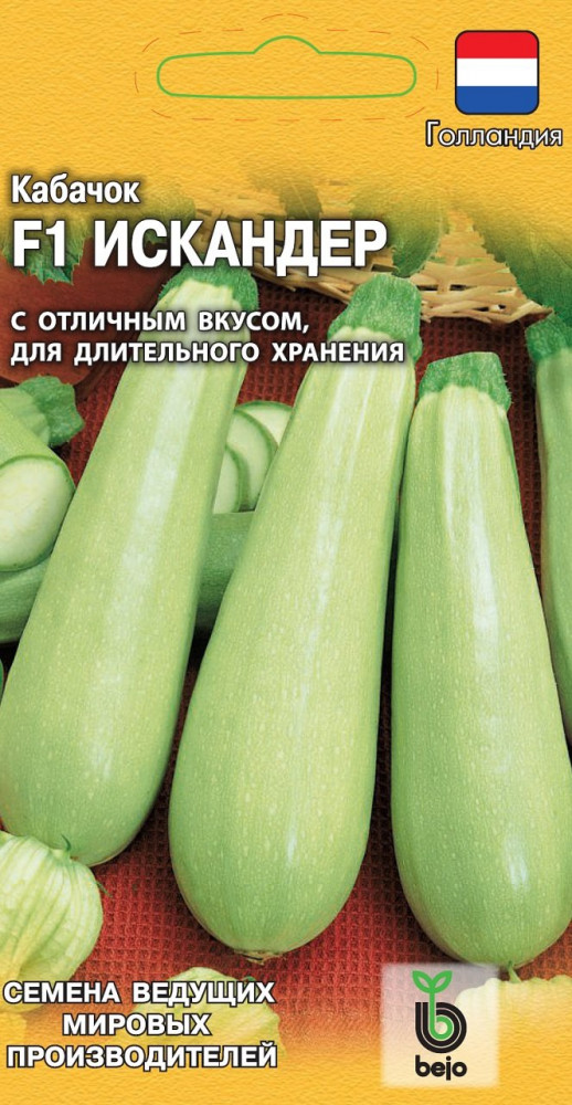 Кабачок «Искандер» | Семена ведущих голландских производителей | Bejo
