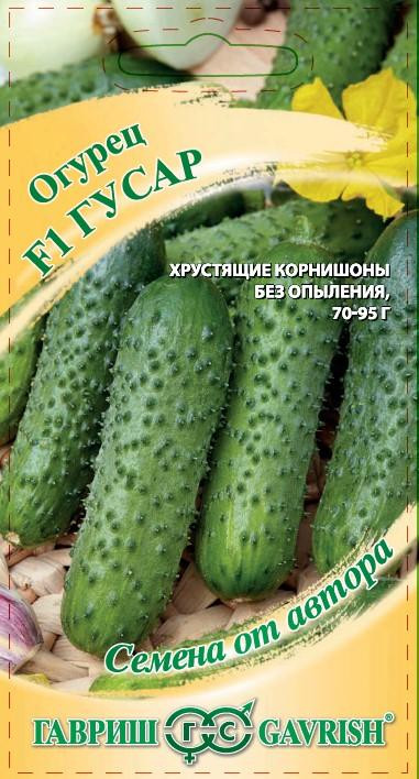 Огурец «Гусар» | Семена от автора | Гавриш