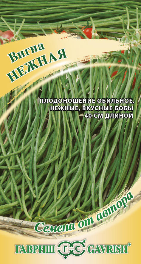 Вигна «Нежная» | Семена от автора | Гавриш