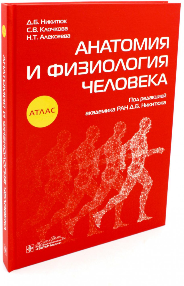 Анатомия и физиология человека