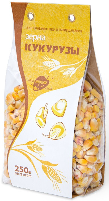 Зерна кукурузы | Образ жизни Алтая