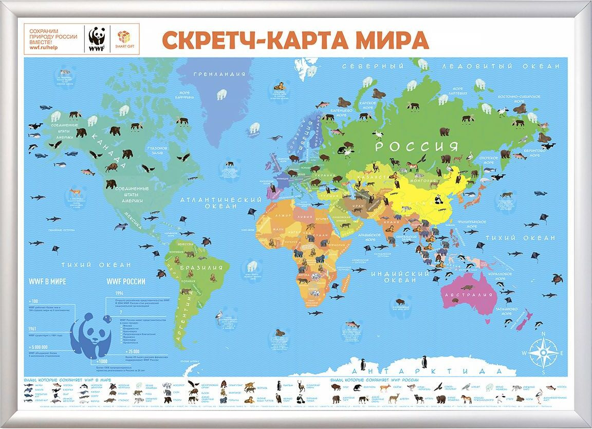 Скретч-карта мира «Green Edition» | Умный подарок