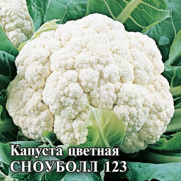 Капуста цветная «Сноуболл 123» | Фермерское подворье | Гавриш