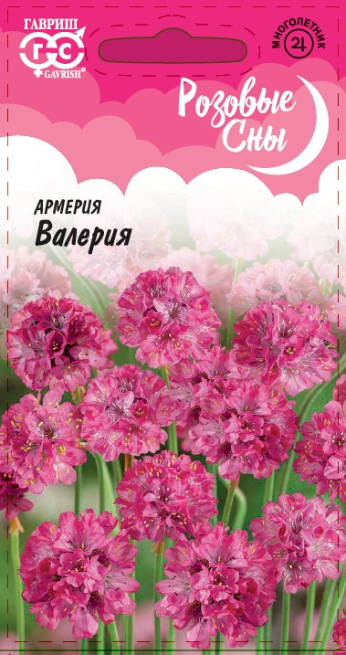 Армерия «Валерия» | Розовые сны | Гавриш