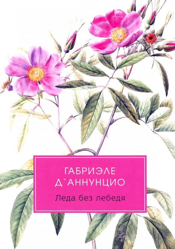 Леда без лебедя | Разум и чувства