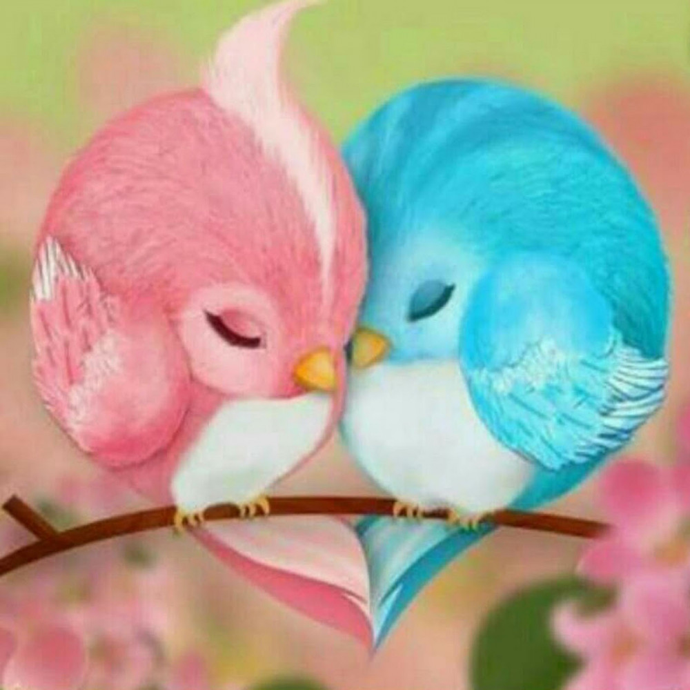 Мозаика алмазная «Птицы неразлучники» | Molly