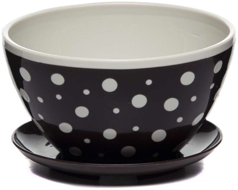 Горшок-кашпо для кактусов с поддоном | Альтернатива