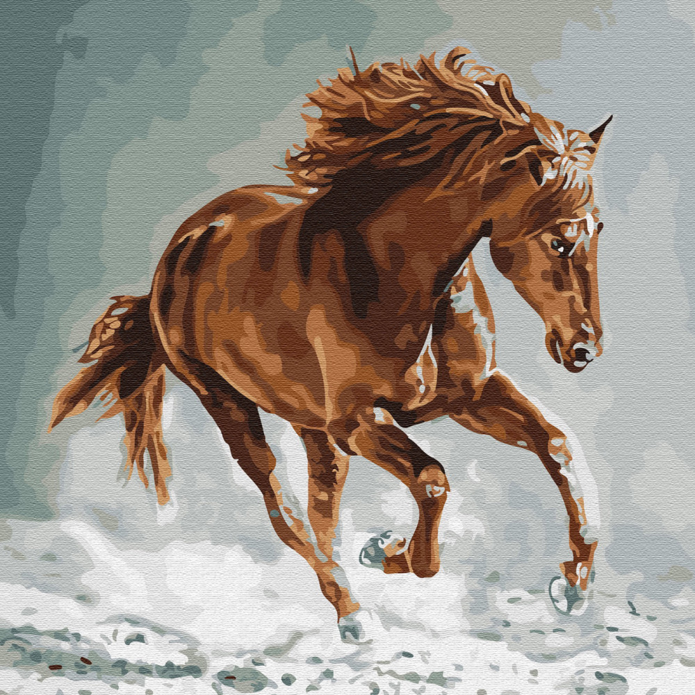 Картина по номерам «Рысак» | Molly