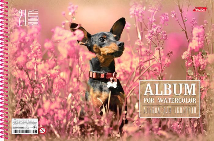 Альбом для акварели | Розовая мечта | Hatber