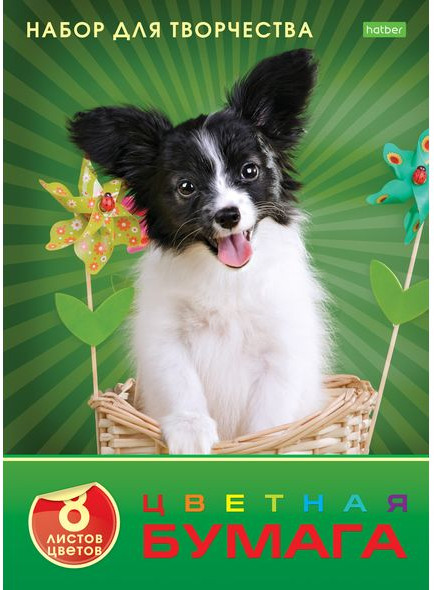 Набор цветной бумаги «Любимец» | Eco | Hatber