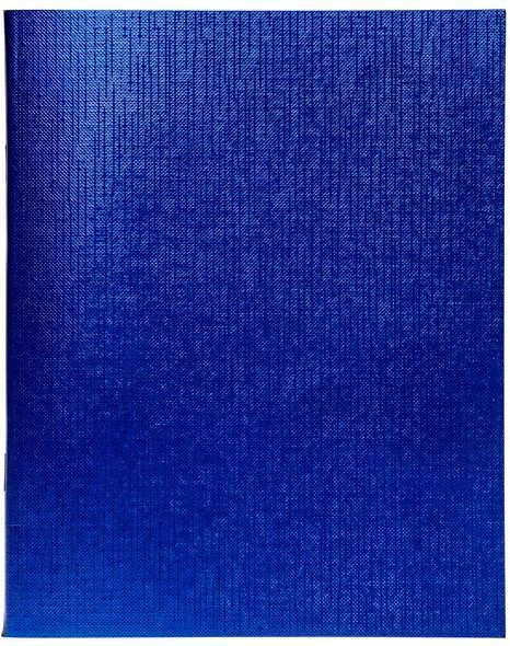 Тетрадь | Metallic | Hatber