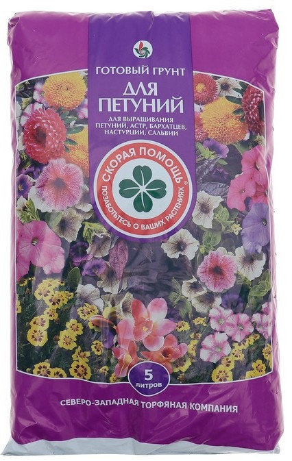 Грунт для петуний | Скорая помощь