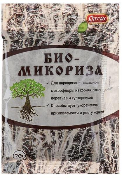 Стимулятор корнеобразования «Биомикориза» | Ортон