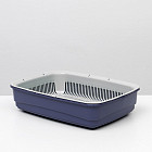 фиолетовый фиолетовый