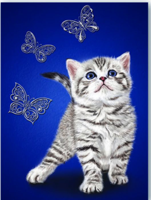 Книга для записей «Котенок» | Notebook | Феникс +