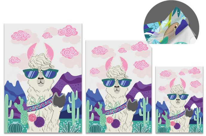 Набор папок | Феникс +