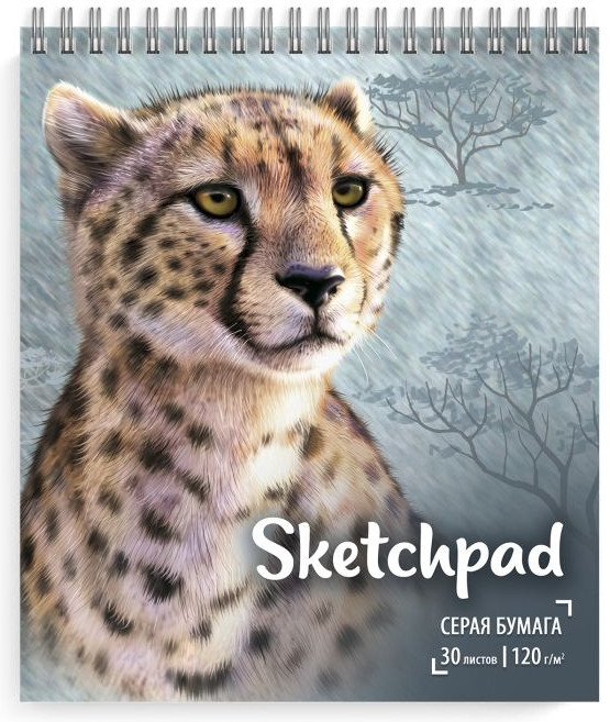 Скетчпад «Гепард» | Скетчпад | Феникс +